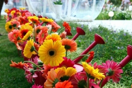 Десять дней продлится фестиваль цветов в Ставрополе