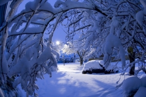 Новый год Ставрополь встретит со снегом