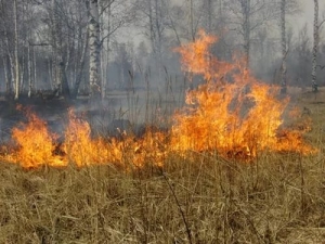 На Ставрополье пожар случился вблизи рынка «Лира»