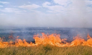 Сухая осень может обернуться для Ставрополья ландшафтными пожарами