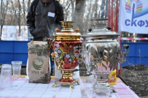Студенты организовали в парке Победы Ставрополя чайный фестиваль