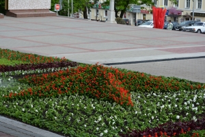 У мемориала «Вечный огонь» в Ставрополе появилась цветочная звезда
