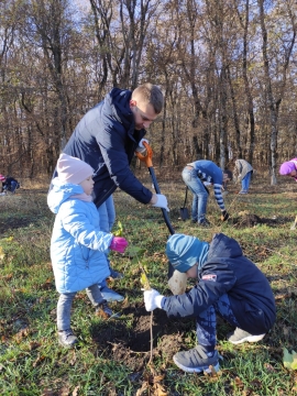 В Ставрополе общественники посадили в 2020 году порядка 450 деревьев