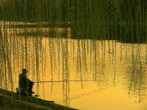 Рыбалки на Ставрополье станут бесплатными