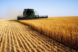 На Ставрополье сельское хозяйство прибавило в «весе» 10%