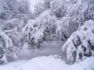 На Ставрополье надвигается ненастная зима