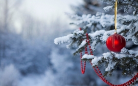 На Новый год в Ставрополе не будет ни снега, ни мороза
