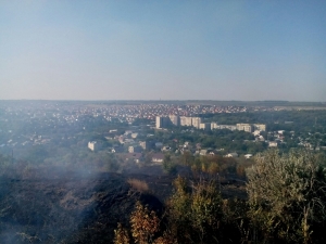 В Ставрополе пожарные остановили огонь на подступах к дачам и собачьему питомнику