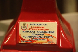 Гандбольное «Ставрополье-СКФУ» стало лучшей командой года