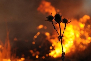 На Ставрополье ожидается чрезвычайная пожароопасность