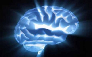Ученые вырастили копию человеческого мозга