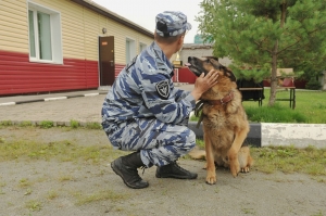 На Ставрополье полицейские-кинологи посетили детский оздоровительный лагерь «Звездный»