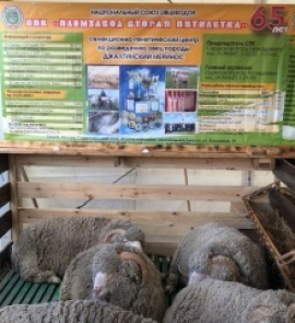 Мастерство и труд животноводов Ставрополья высоко оценили на федеральном уровне