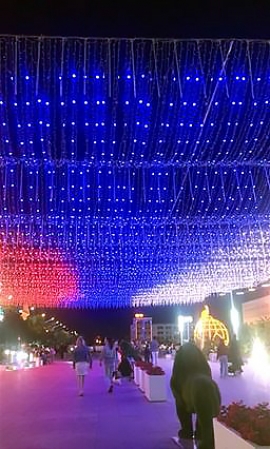 «Звездное небо» Ставрополя зажглось цветами триколора в День Флага