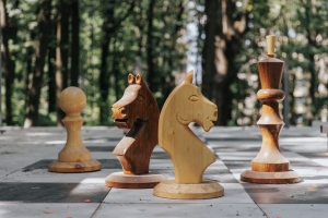 В Ставрополе появился шахматный домик