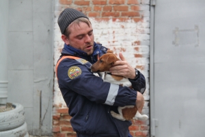 В Новый год спасатели на Ставрополье не оставили в беде собаку