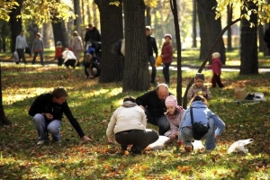 Ставропольцев позвали на сбор жёлудей в Центральный парк