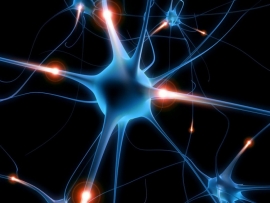 Ученые сравнили общение в соцсети с взаимодействием нейронов