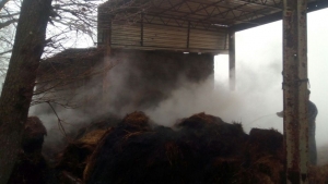 На Ставрополье пожарные спасли от пламени 12 лошадей