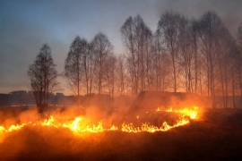 На Ставрополье ранняя весна спровоцировала 62 пожара