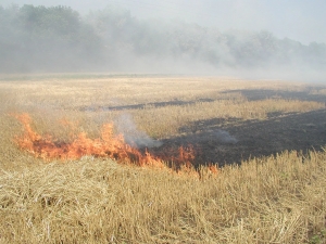 Губернатор Ставрополья держит на личном контроле ситуацию с ликвидацией возгорания сухой травы близ Бешпагира