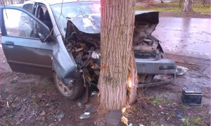 На Ставрополье автоледи столкнулась с деревом и получила «острую реакцию на стресс»