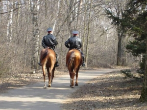 Жителей Ставрополя будут охранять с помощью коней
