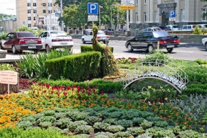 В Ставрополе высадят более семи тысяч деревьев и сотни тысяч цветов