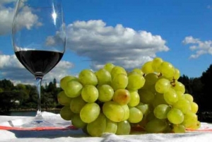 На Ставрополье впервые отпраздновали праздник молодого вина
