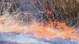 Ветер в Ставрополе «помог» ландшафтным пожарам