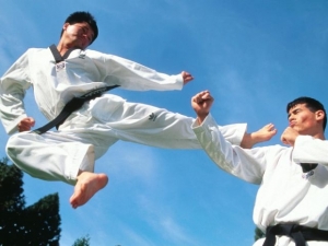 Пятигорск станет «столицей» японских боевых искусств
