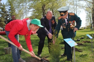 Зеленый и патриотический фонды Кисловодска пополнил «Лес Победы»