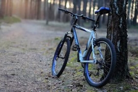 В Ставрополе в лесу заблудились велосипедисты
