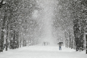 Снегопад в Ставрополе осложнил жизнь коммунальщиков