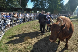 В День Ставропольского края показали быка-богатыря и корову-рекордсменку
