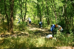 В Члинском лесу Ставрополя прошли Чистые игры