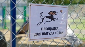 Жители Железноводска выберут площадку для выгула и дрессировки собак