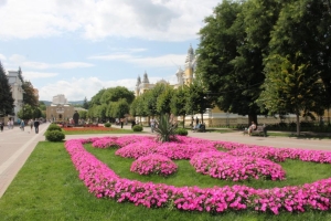 На улицах Кисловодска весной распустятся свыше 400 тысяч цветов