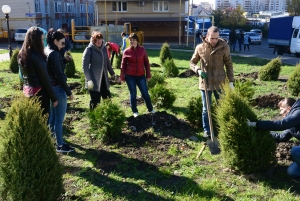 На аллее ветеранов в Ставрополе высадили более 500 растений