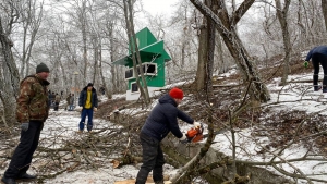 С терренкуров в Железноводске вывезли около ста грузовиков с ветками