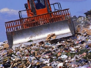 Санкционные цитрусовые уничтожили на мусорном полигоне Ставрополя