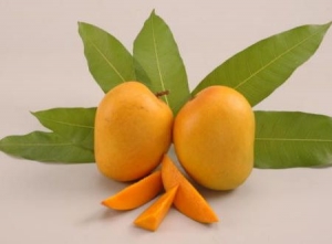 Плод манго считают в Индии панацеей от многих недугов