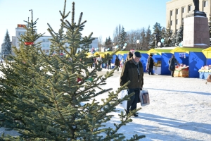 Новогодний базар заработает на площади Ленина в Ставрополе
