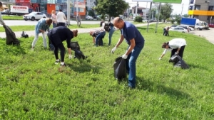 Ставропольцы вышли на борьбу с амброзией