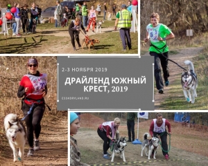 В Ставрополе пройдет бесснежная гонка на собачьих упряжках