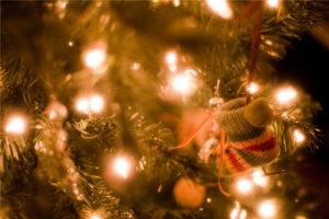 Огни на главной елке Ставрополя зажгутся 16 декабря