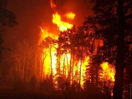 За ландшафтные пожары ответят землепользователи