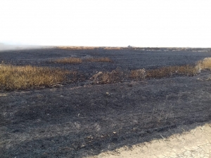 Спасатели на Ставрополье потушили 20 гектаров пшеничного поля