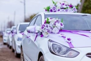За шумную свадьбу на Ставрополье могут лишить водительских прав