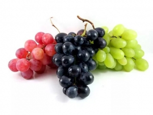 Ставропольским виноградарям не потребуются саженцы янтарной ягоды